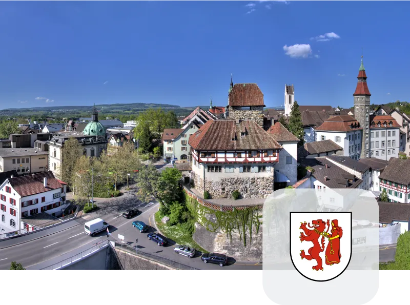 Kanton-Frauenfeld-view-mob